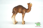Preview: Schleich  Dromedar Set 14355 + 14356